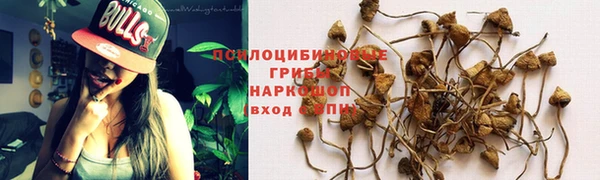 дурь Краснослободск