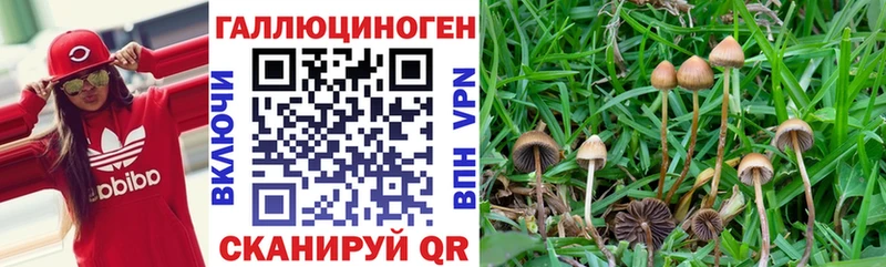 Галлюциногенные грибы прущие грибы  Липки 